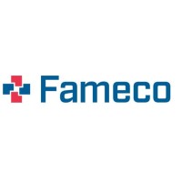 Fameco Nordic - Analytical logo - Similar company to Fameco