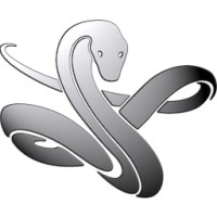 Silver Snake logo - Similar company to Radicubs Robotics