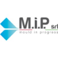 M.I.P srl logo - Similar company to 3D Infill