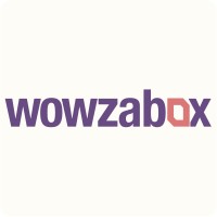 WowzaBox logo - Similar company to Fullspectrum Group