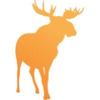 Bull Moose Capital Ltd logo - Similar company to Ironback Controls Ltd.