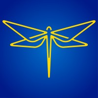 fly Nordica logo - Similar company to Xfly