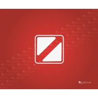 PUBLICIDAD & STYLE logo - Similar company to Disruptivo I  Agencia Creativa De Visibilidad Gràfica