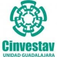 Cts - Cinvestav, Guadalajara