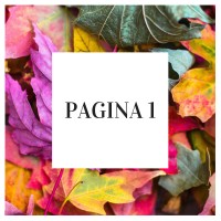 Pagina 1 logo - Similar company to Pg1 Comunicação