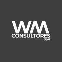 WM Consultores