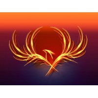 Phoenix Rising logo - Similar company to Pacheco Consulting