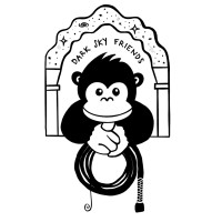 Dark Sky Friends logo - Similar company to Light X