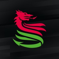 Disability Sport Wales logo - Similar company to Cardiff Met Sport