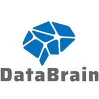 DataBrain logo - Similar company to Databrain