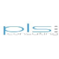 PLS CONSULTING SRL logo - Similar company to Pls Consulting