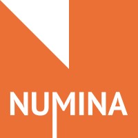 NUMINA logo - Similar company to Pfb Consulting