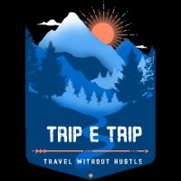 TRIPeTRIP logo - Similar company to Dynamicpro Technology Solutions