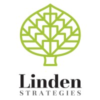 Linden Strategies logo - Similar company to Lambda International Consultants