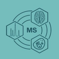 Grupo de Pesquisa em Espectrometria de Massas - MSUFCSPA logo - Similar company to Instituto Internacional De Cromatografia