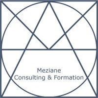 Meziane Consulting & Formation logo - Similar company to Swiss Network Sa
