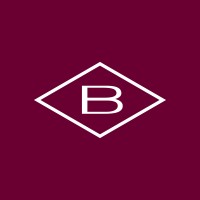 Borsheims logo - Similar company to Caza Collective