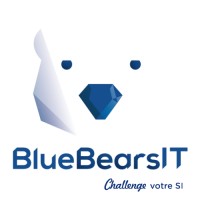 BlueBearsIT logo - Similar company to Refsa