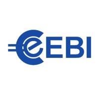 EBI Softwares logo - Similar company to E Stream Software (Sql Account | Sql Payroll Hq)