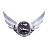 THE WINGS GGCT logo - Similar company to A&G Tech. Studios