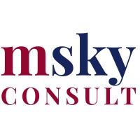 MSKY CONSULT logo - Similar company to Cyrus Engineering