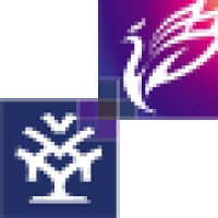 Phoenix Tree Publishing Inc., 北京语言大学出版社北美分社