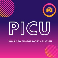 PICU logo - Similar company to Picu