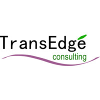 Transedge Consulting Pvt Ltd logo - Similar company to Ted Consulting