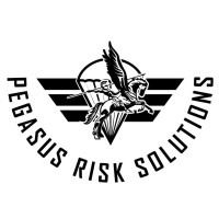 Pegasus Risk Solutions (PTY) LTD logo - Similar company to Dynamic Artistic Solutions - Das