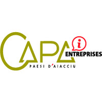 CAPA Info Entreprises logo - Similar company to Ms Formation Pro