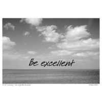 Be Excellent LLC logo - Similar company to Ngv Talent