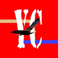 Young Creative, LLC logo - Similar company to Young Creative
