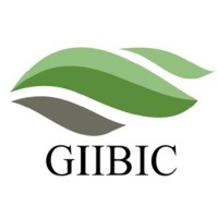 Global Institute of Islamic Banking, Insurance & Consultancy or 'Giibic' logo - Similar company to Akr