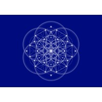 Dar Luz yAmor logo - Similar company to The Sonic Light
