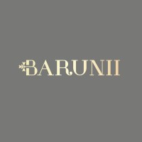 Barunii Beauty Pvt Ltd logo - Similar company to Skin Secrets