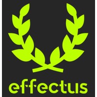 effectus capital logo - Similar company to Straetus International