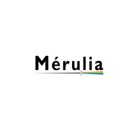 Mérulia logo - Similar company to Lbms - Let'S Build My School
