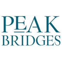 Peak Bridges Capital logo - Similar company to Peakbridge