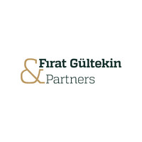Fırat Gültekin & Partners logo - Similar company to Ba Projectz