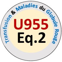 Equipe Pirenne - Imrb, Inserm, Upec Et Efs