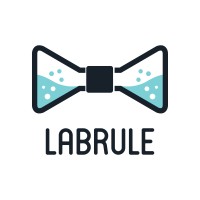 LabRule logo - Similar company to Junk Raider