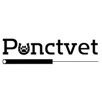 Punctvet