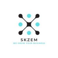 SKZEM Limited logo - Similar company to Briiz