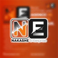 Nakashe Enterprises logo - Similar company to Agrodata Rdc