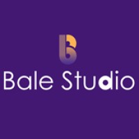 Bale Studio - Bespoke Web & Mobile Software Development Agency logo - Similar company to Techieformation