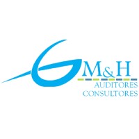 GM&H AUDITORES CONSULTORES SAS logo - Similar company to Tupymecontable