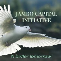Jambo Capital Initiative logo - Similar company to Ts Capital