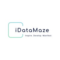 iDataMaze logo - Similar company to Pro Ace Seo