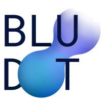 BluDot App logo - Similar company to Kuwait Maps