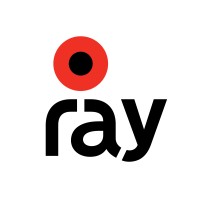 RayIot Solutions, Inc logo - Similar company to E-Caret Solutions